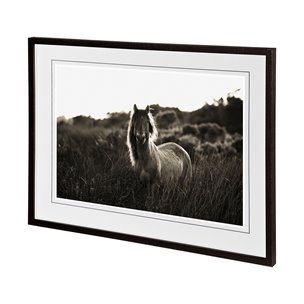 Evening Glow by Mercana Studio a Hand Embelished Textured Framed Photo Art Print Matted under Glass