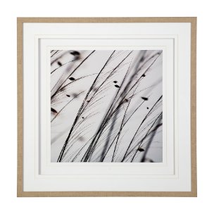 Organic II by Tony Koukos a Hand Embellished Textured Framed Art Photograph Matted under Glass