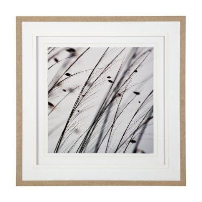 12304 - Organic II by Tony Koukos a Hand Embellished Textured Framed Art Photograph Matted under Glass