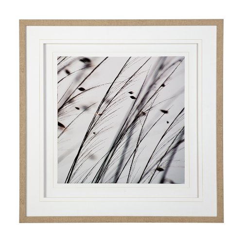 12304 - Organic II by Tony Koukos a Hand Embellished Textured Framed Art Photograph Matted under Glass