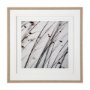 12304 - Organic II by Tony Koukos a Hand Embellished Textured Framed Art Photograph Matted under Glass