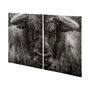101193-L - Ringo by Mercana Studio a High-Gloss Epoxy Finish Canvas