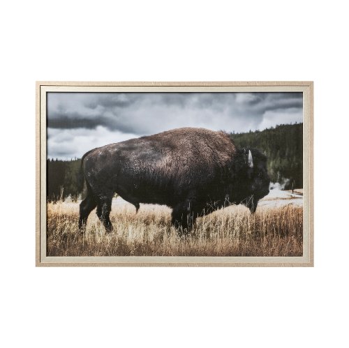 12491 - Yellowstone Bison by Dunker a Framed Photo Art Print Matted under Glass