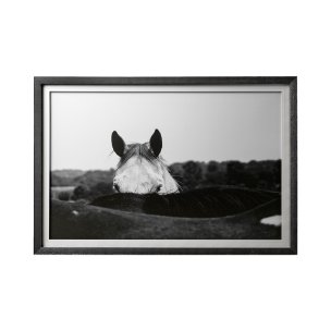 Flirt by Aledanda a Framed Photo Art Print Matted under Glass
