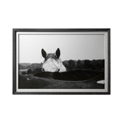 12492 - Flirt by Aledanda a Framed Photo Art Print Matted under Glass