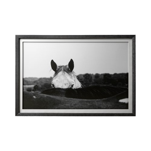12492 - Flirt by Aledanda a Framed Photo Art Print Matted under Glass
