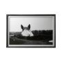 12492 - Flirt by Aledanda a Framed Photo Art Print Matted under Glass