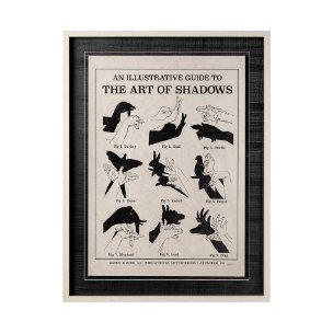 The Art of Shadows X by Mercana Studio Hand Embellished Textured Framed Art Print Matted under Glass