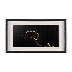 Protection by Xavier Ortega a Framed Photo Art Print Matted under Glass