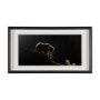 12519 - Protection by Xavier Ortega a Framed Photo Art Print Matted under Glass