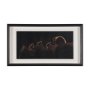 12520 - Triplets by Xavier Ortega a Framed Photo Art Print Matted under Glass
