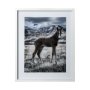12569 - Horse 3 by Dunker a Framed Photo Art Print Matted under Glass