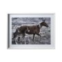 12571 - Horse 2 by Dunker a Framed Photo Art Print Matted under Glass