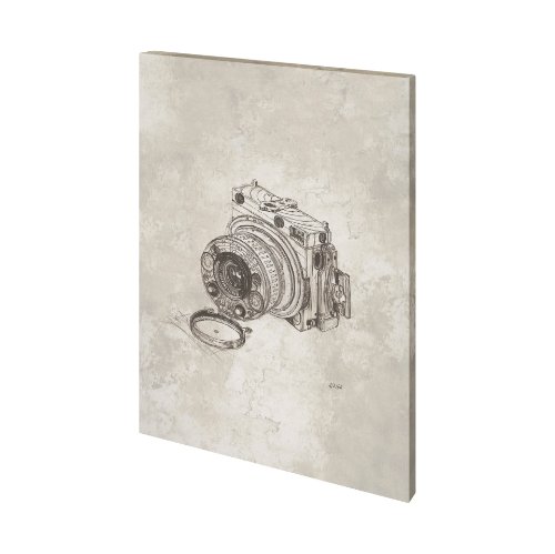 101421-L - Compass Camera Bronze I by Mercana Studio a Hand Embellished Textured Canvas