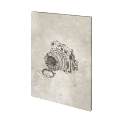101421-S - Compass Camera Bronze I by Mercana Studio a Hand Embellished Textured Canvas