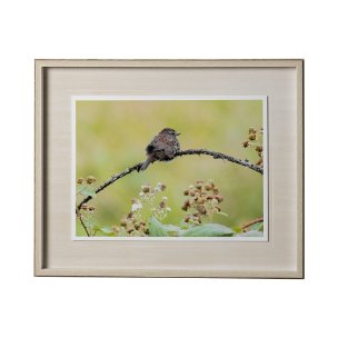 untitled by Nancy Crowell a Framed Photo Art Print Matted under Glass