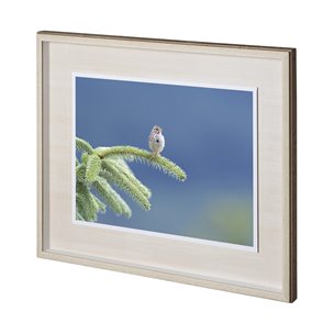 untitled by Nancy Crowell a Framed Photo Art Print Matted under Glass