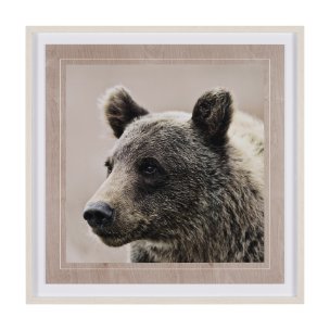 Bear Focus - Hush by Wink Gaines a Hand Embelished Textured Framed Art Photo Matted under Glass