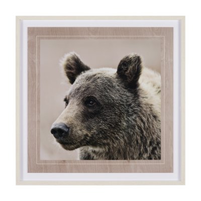 12648 - Bear Focus - Hush by Wink Gaines a Hand Embelished Textured Framed Art Photo Matted under Glass