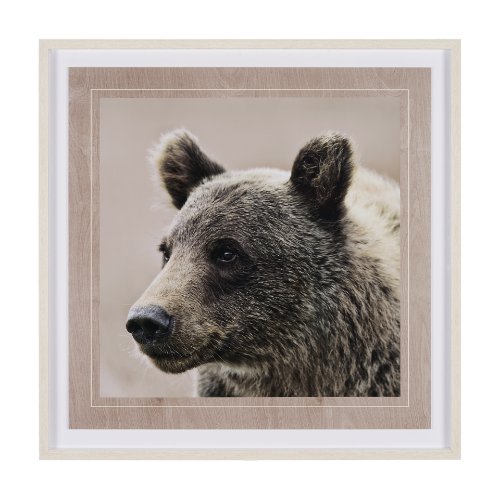 12648 - Bear Focus - Hush by Wink Gaines a Hand Embelished Textured Framed Art Photo Matted under Glass