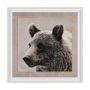 12648 - Bear Focus - Hush by Wink Gaines a Hand Embelished Textured Framed Art Photo Matted under Glass