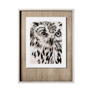 Charcoal Owl I by Jennifer Paxton Parker a Framed Art Print Matted under Glass