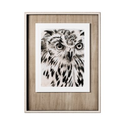 12653 - Charcoal Owl I by Jennifer Paxton Parker a Framed Art Print Matted under Glass