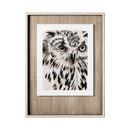 12653 - Charcoal Owl I by Jennifer Paxton Parker a Framed Art Print Matted under Glass