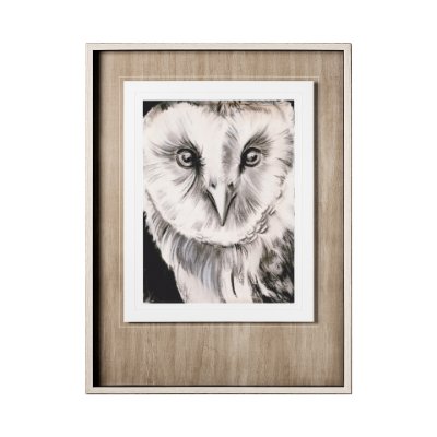 12654 - Charcoal Owl II by Jennifer Paxton Parker a Framed Art Print Matted under Glass