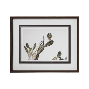 AZ Botanical 37 by Dunker a Framed Art Print Matted under Glass