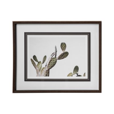 12673 - AZ Botanical 37 by Dunker a Framed Art Print Matted under Glass