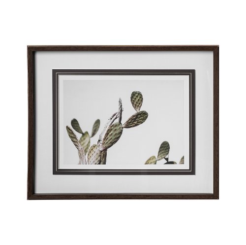 12673 - AZ Botanical 37 by Dunker a Framed Art Print Matted under Glass