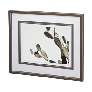 AZ Botanical 38 by Dunker a Framed Art Print Matted under Glass