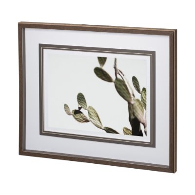 12674 - AZ Botanical 38 by Dunker a Framed Art Print Matted under Glass
