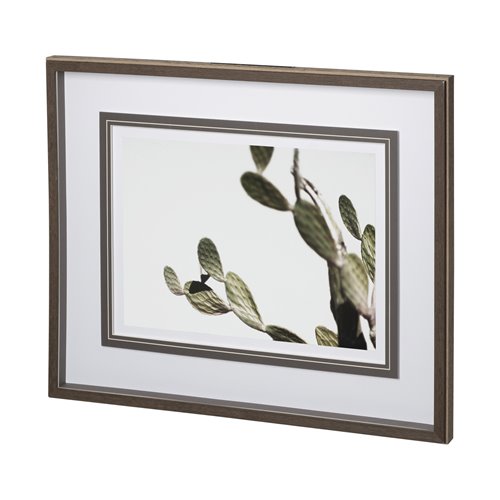 12674 - AZ Botanical 38 by Dunker a Framed Art Print Matted under Glass