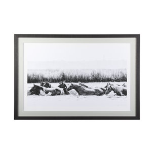 Water Horses III  by PHBurchett a Framed Photo Art Print Matted under Glass
