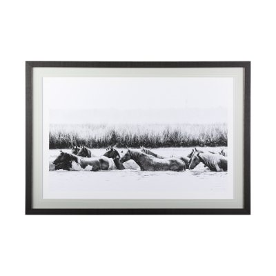 12680 - Water Horses III  by PHBurchett a Framed Photo Art Print Matted under Glass