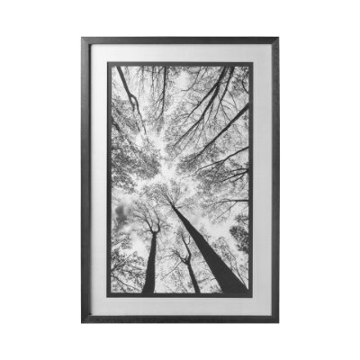 12700 - Looking Up I BW by Mercana Studio a Hand Embellished Textured Framed Photo Art Print Matted under Gl