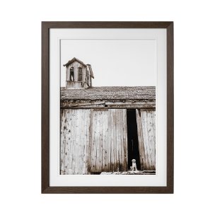 Barnyard Dog v2 by Mercana Studio a Framed Photo Art Print Matted under Glass