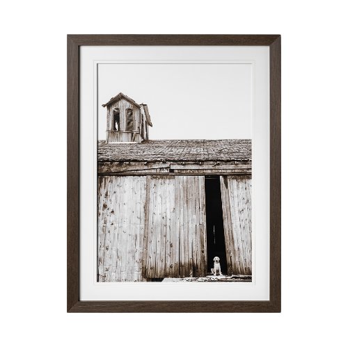 12711 - Barnyard Dog v2 by Mercana Studio a Framed Photo Art Print Matted under Glass