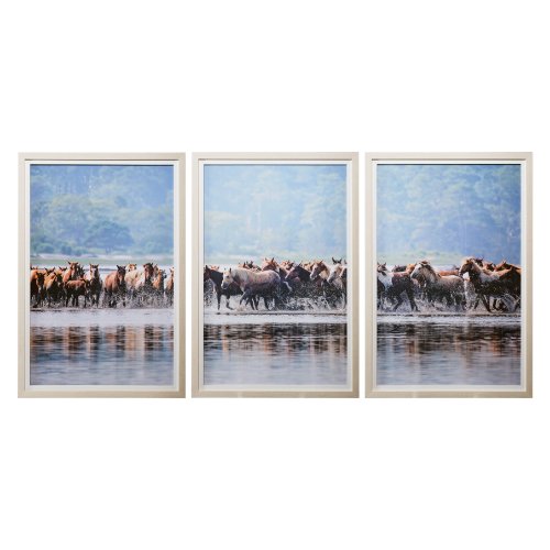12773 - Water Horses II C by PHBurchett a Framed Photo Art Print Matted under Glass