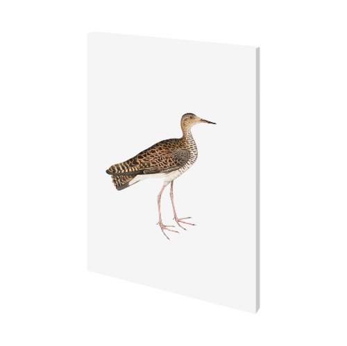 101248-L - Bhegondee Snipe by Maria Mendez a Hand Embellished Textured Canvas