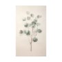 101320-S - Spring Gestures I by Gabrielle Crawford a Hand Embellished Textured Canvas