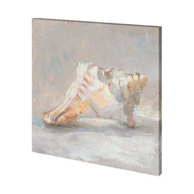 101360-L - Impressionist Shell Study I by Mercana Studio a Hand Embellished Textured Canvas