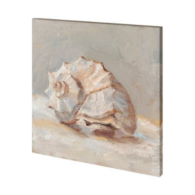 101361-L - Impressionist Shell Study II by Mercana Studio a Hand Embellished Textured Canvas