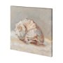 101361-L - Impressionist Shell Study II by Mercana Studio a Hand Embellished Textured Canvas