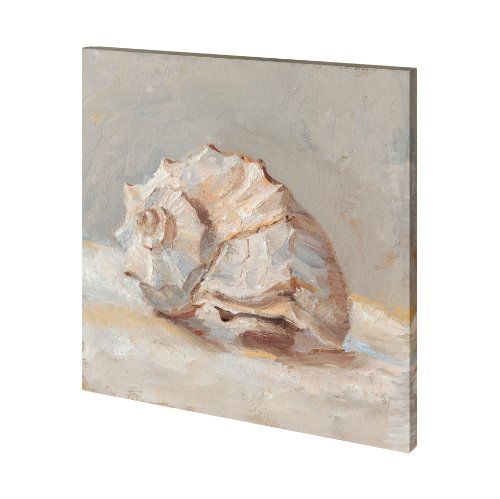 101361-S - Impressionist Shell Study II by Mercana Studio a Hand Embellished Textured Canvas