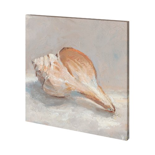 101362-L - Impressionist Shell Study III by Mercana Studio a Hand Embellished Textured Canvas