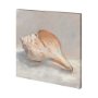 101362-L - Impressionist Shell Study III by Mercana Studio a Hand Embellished Textured Canvas