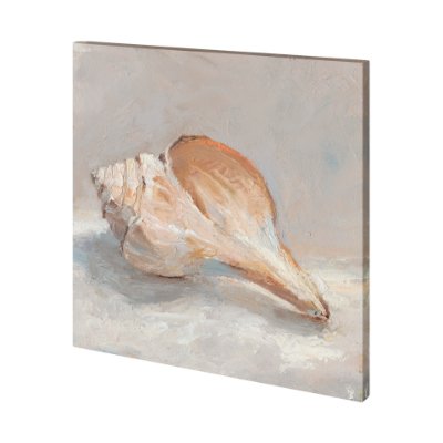 101362-S - Impressionist Shell Study III by Mercana Studio a Hand Embellished Textured Canvas